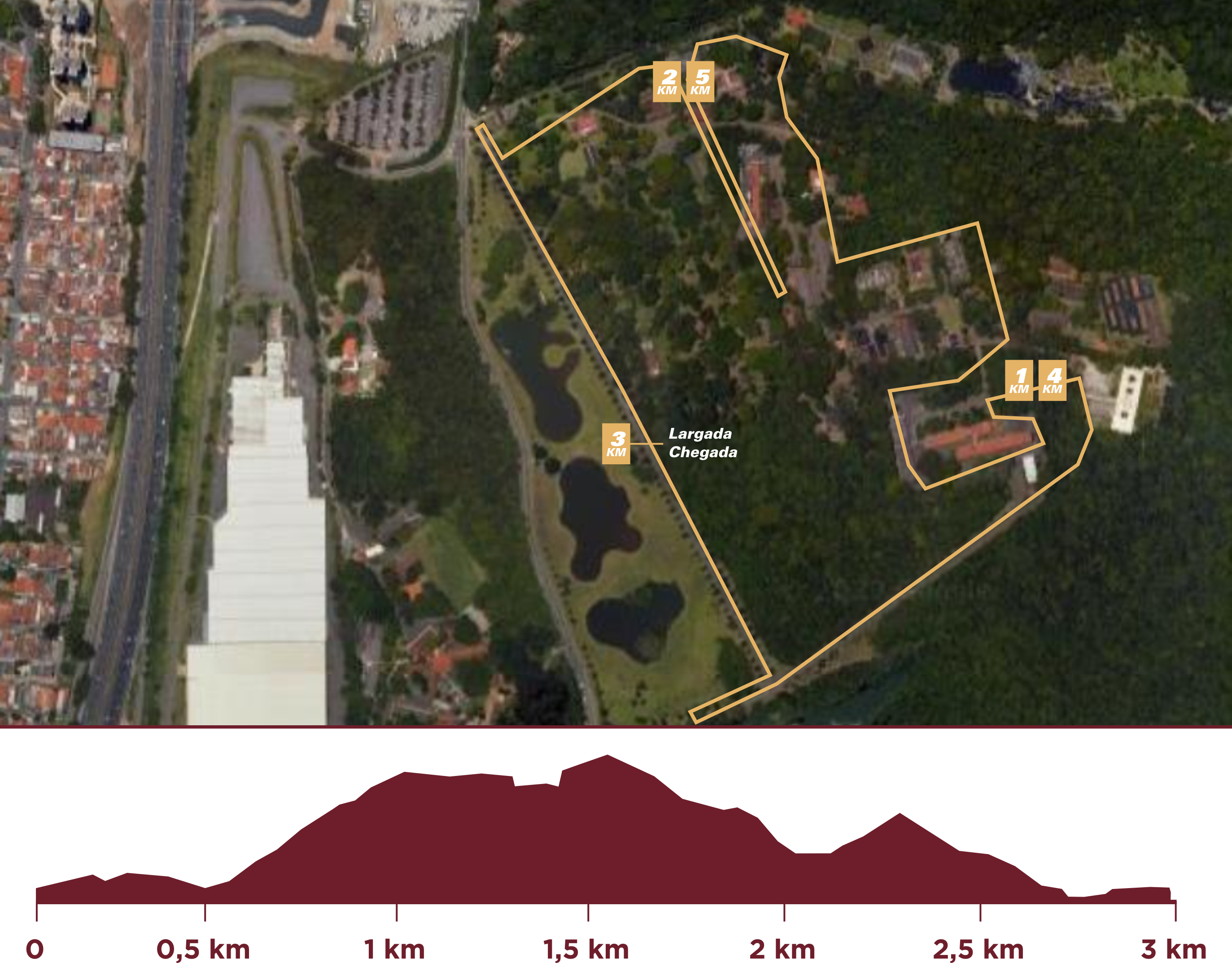 Altimetria Eu Mulher